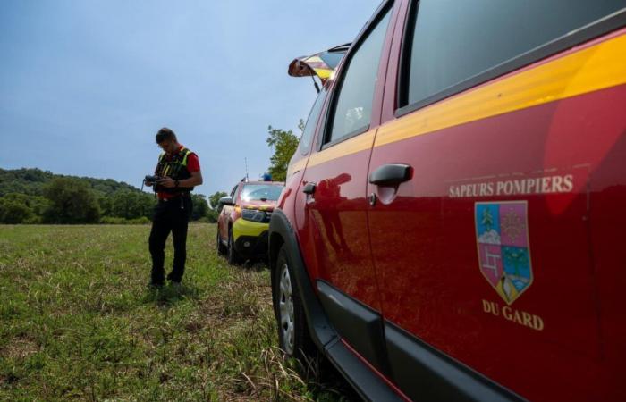 [VIDÉO] Gard: los bomberos salvan a un perro atrapado bajo tierra durante 24 horas: ¡aquí está el vídeo del rescate! – Noticias – Gard – Varios