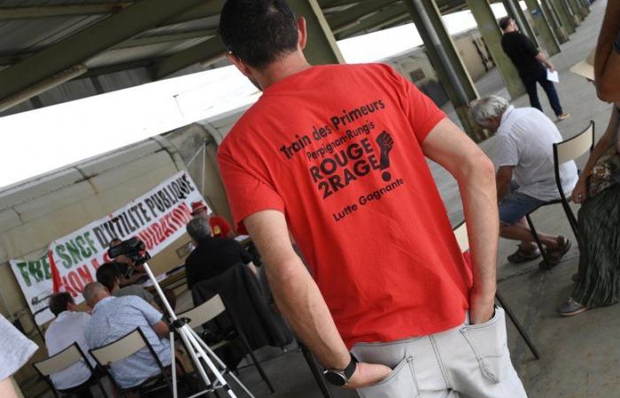 Jornada convulsa en los trenes este viernes debido a una huelga de trabajadores ferroviarios desde Perpiñán