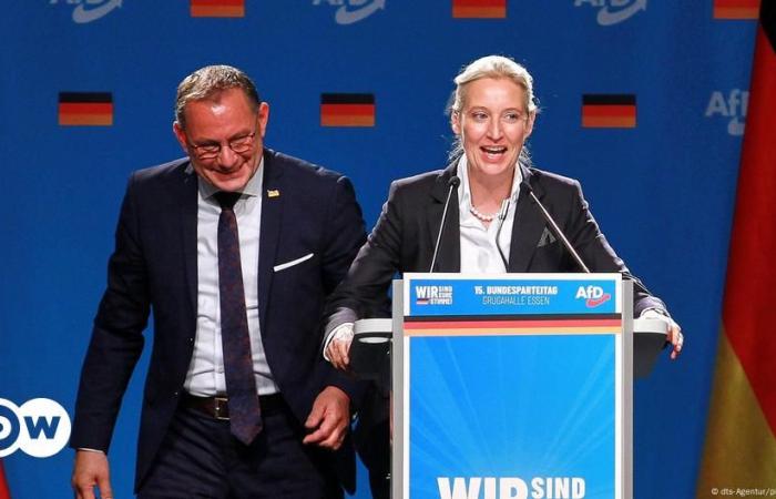 En Alemania, el AfD presiona para celebrar elecciones anticipadas – DW – 11/08/2024