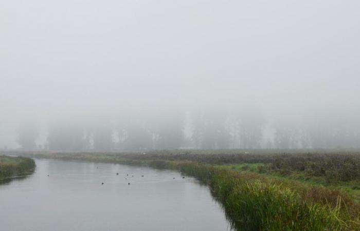 Informe meteorológico. Nubes, nieblas, claros…: ¿cuáles son las previsiones para este fin de semana largo en el Norte y el Paso de Calais?