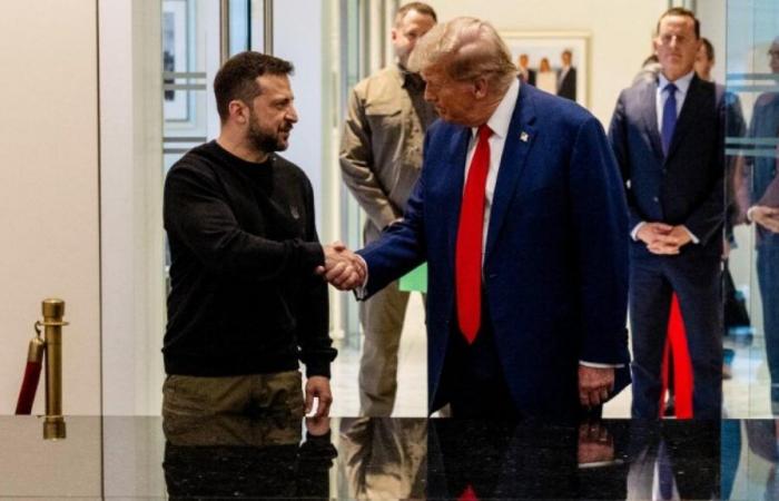 Ucrania: Elon Musk participó en la “excelente” conversación entre Donald Trump y Volodymyr Zelensky