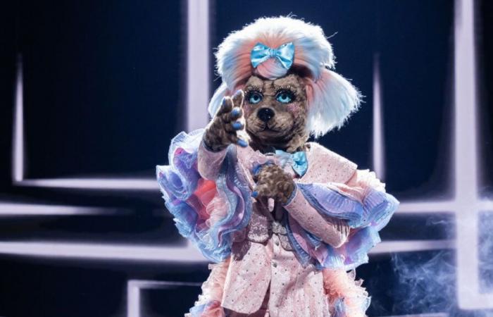 ‘The Masked Singer’: Escucha ahora la actuación de Labradoodle