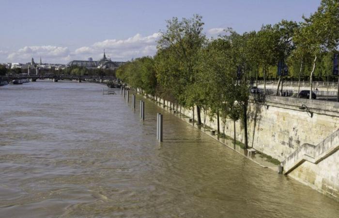 El Ayuntamiento de París quiere preparar a los habitantes ante el riesgo de inundaciones con una “gran operación de sensibilización”