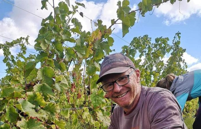 Domaine Lionel Brenier revive variedades de uva antiguas en Drôme des Collines.