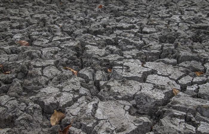 COP29: Apoyar a los pequeños agricultores, una inversión clave para la adaptación climática