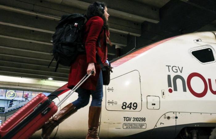 El TGV París-Lyon no circulará durante 4 días y se esperan perturbaciones en toda Francia