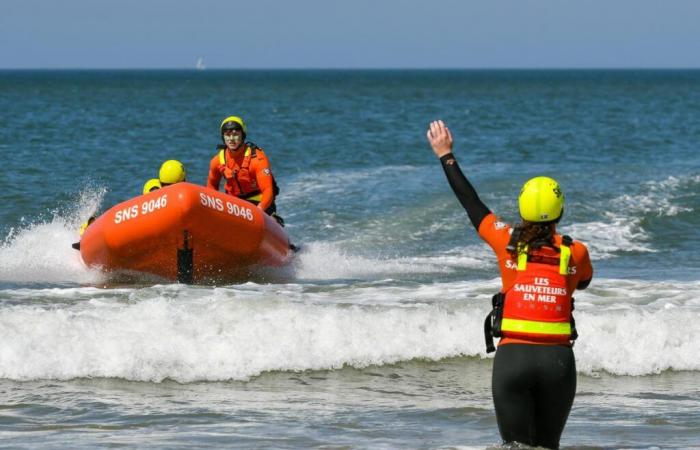 Socorristas marítimos interesados ​​en vigilar cada vez más playas