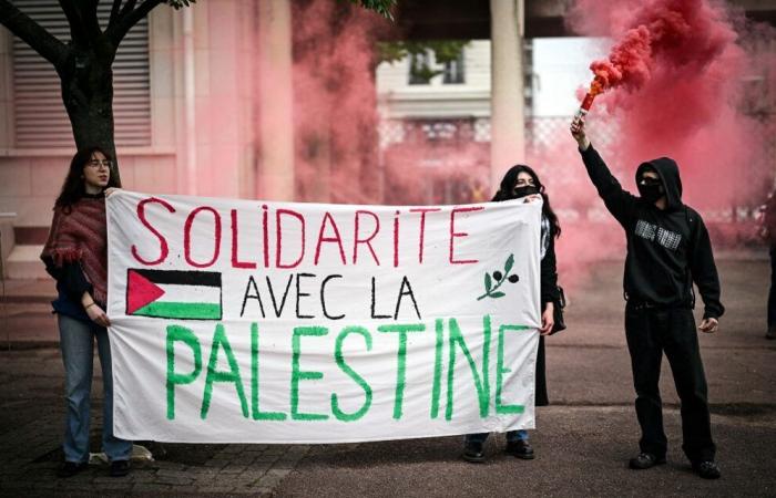 Lyon: una nueva manifestación este sábado en apoyo del pueblo palestino y libanés