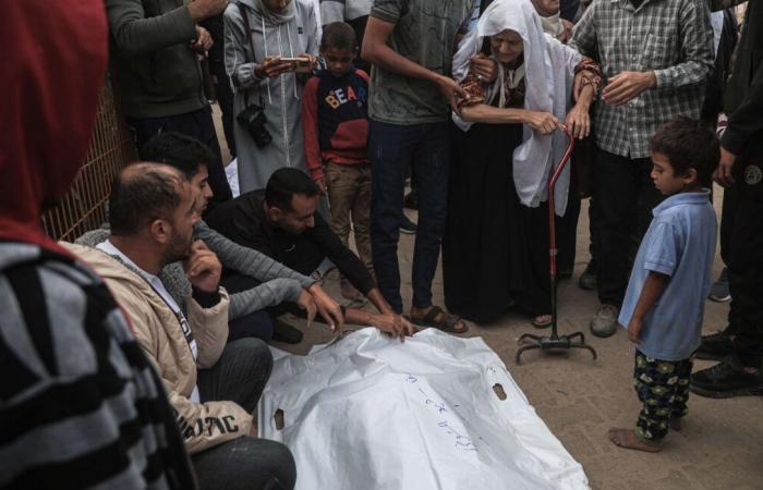 Catorce muertos en dos ataques israelíes en Gaza