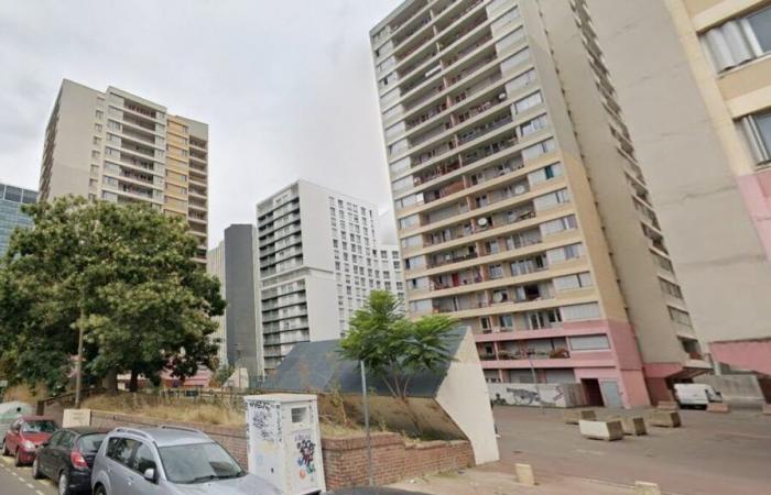 Bagnolet: toca el timbre de su vecino, entra a la fuerza y ​​se arroja desde el piso 12