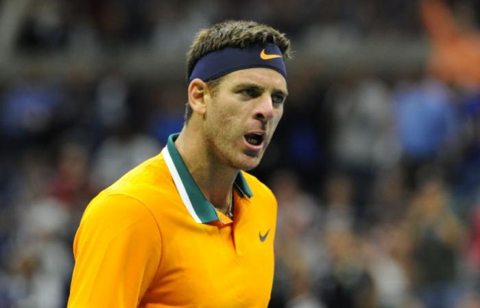 ATP > Del Potro sobre Djokovic: “En Miami, Novak me envió un mensaje: ‘Delpo, sé que estás aquí, quiero ir a cenar juntos’. Fuimos allí y después de una discusión espectacular, que duró varias horas, me dijo: ‘puedes contar conmigo, haré todo lo que pueda para ayudarte'”.