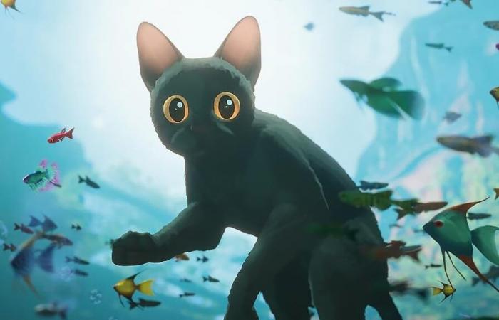 El gatito de esta película ha conquistado al público, es el mayor éxito en la historia de su distribuidora