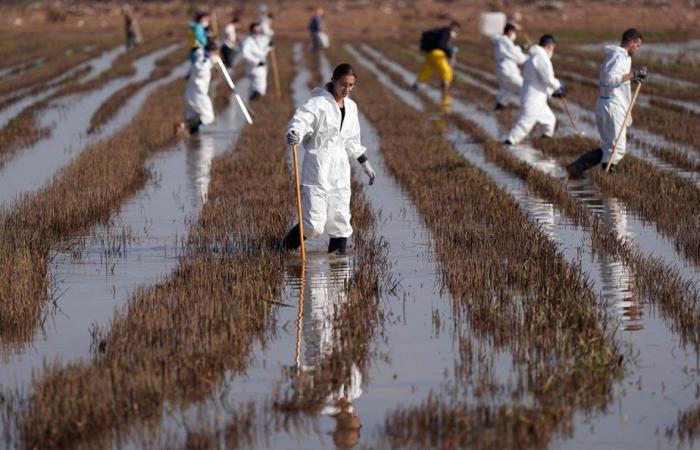 Inundaciones en España | Las autoridades están preocupadas por los riesgos para la salud.