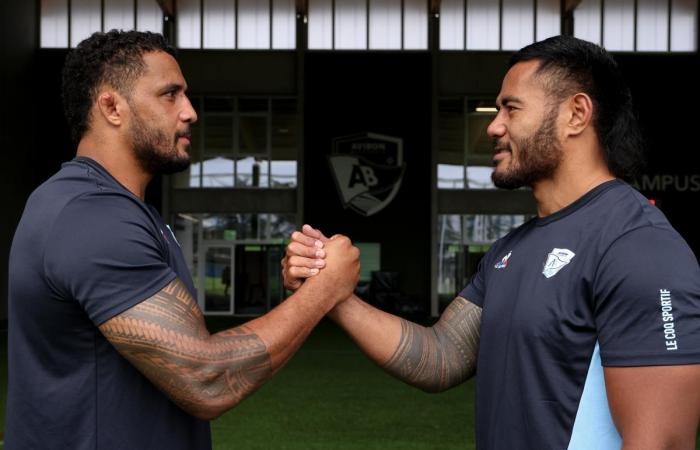 Rugby. Tuilagi y Habel-Küffner, los samoanos de Aviron Bayonnais, descifran sus tatuajes para “Raffut”