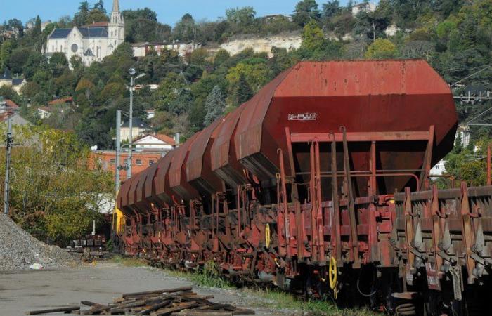 SNCF: los sindicatos convocan una huelga indefinida a partir del 11 de diciembre para protestar contra el desmantelamiento de Freight