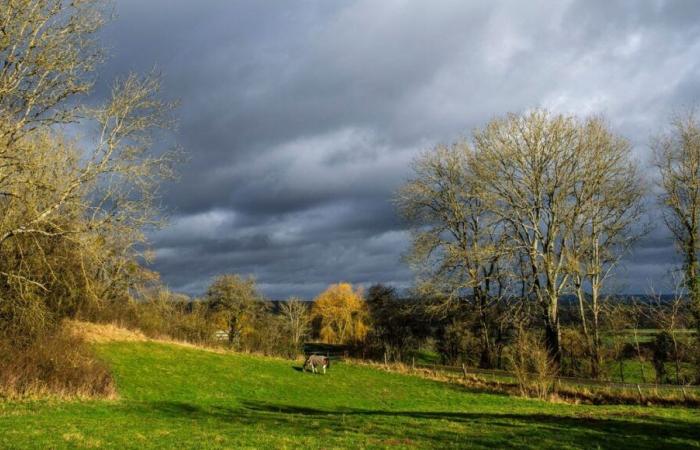 Clima: cielos grises, chubascos, sol a orillas del Mediterráneo, ¿qué esperar para este fin de semana del 11 de noviembre?