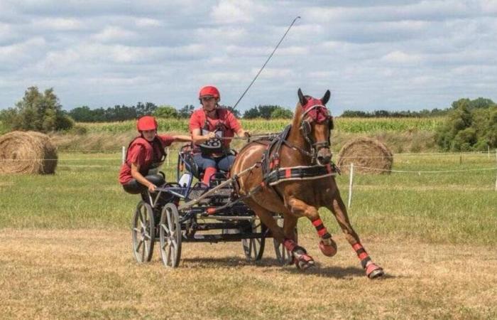 Vieillevigne. Un equipo entre los mejores de Francia