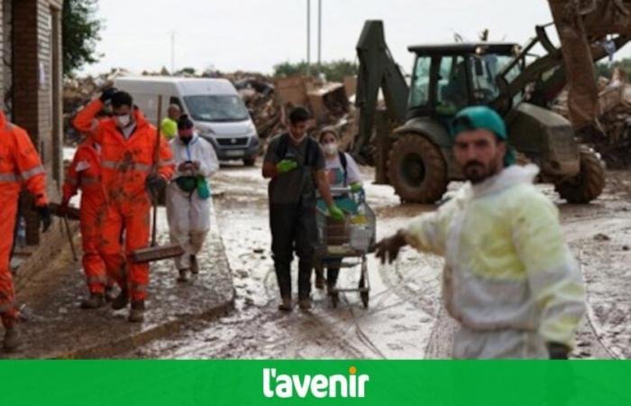 Proliferación de mosquitos, carne podrida… En España, las inundaciones traen olores nauseabundos y problemas de salud