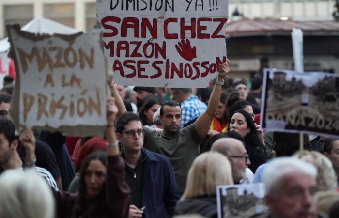 Manifestación organizada en Valencia contra la inacción de las autoridades