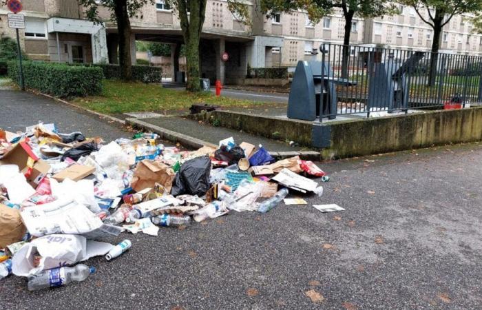 Bebé encontrado en un cubo de basura en Rennes. Madre presenta denuncia por violación contra padre, confirma su abogado