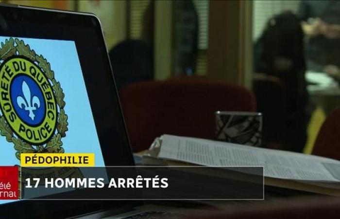 Explotación sexual de niños en Internet: 17 detenciones en Quebec