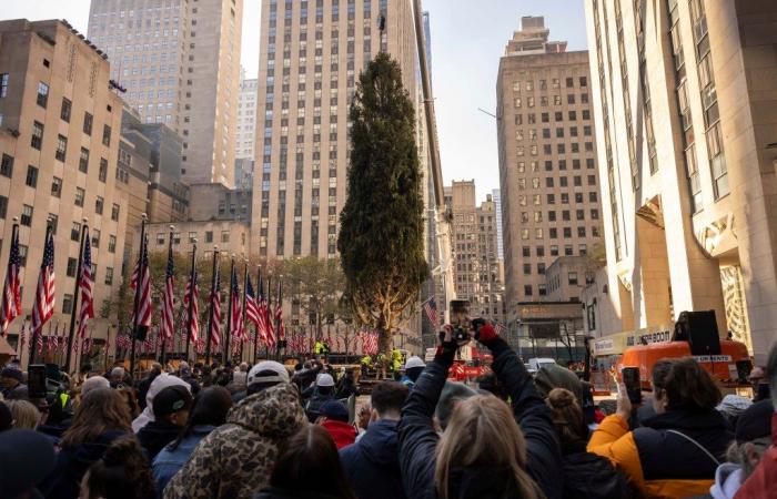 La Pícea Noruega de Massachusetts llega a Nueva York como árbol de Navidad del Rockefeller Center