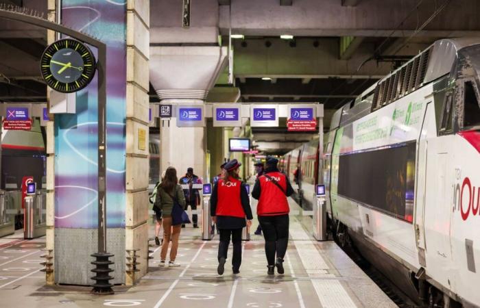 SNCF liberada por la muerte de Neko, el gato aplastado por un tren