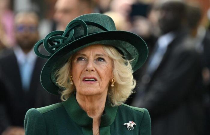 ¿Preocupación por la reina Camilla en el Reino Unido? ¡Enfermo, el soberano no participará en las conmemoraciones militares de este fin de semana!