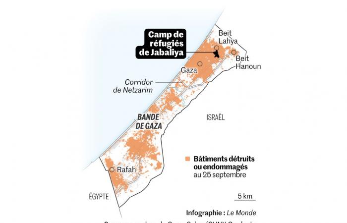 ¿Trump fue elegido, los palestinos y Ucrania perdieron? – Guillaume Ancel – No aguantes