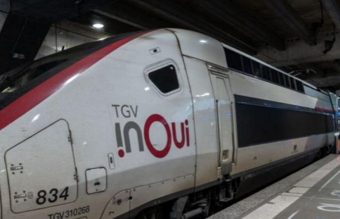 SNCF: se presentó un aviso de huelga renovable a partir del 11 de diciembre: Noticias