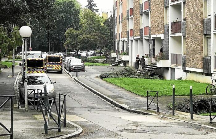 Tráfico de drogas en Rennes: cómo el regreso de dos traficantes prendió fuego a todo un barrio