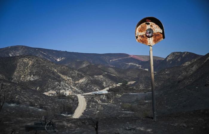 En imágenes. Los bomberos ganan terreno en medio de un destructivo incendio cerca de Los Ángeles