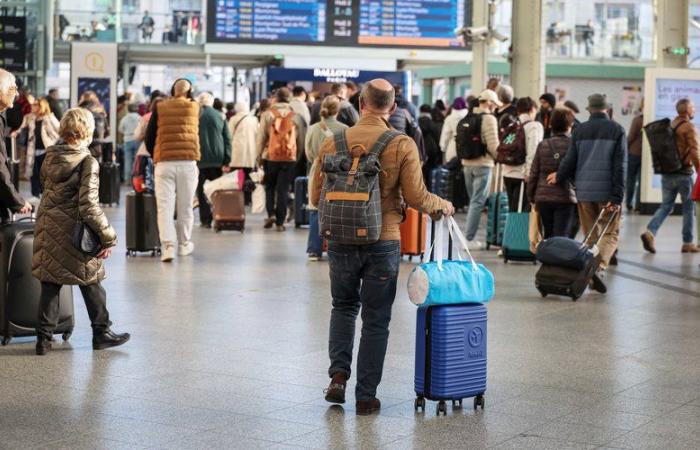 Los sindicatos de la SNCF convocan una huelga indefinida a partir del 11 de diciembre para protestar contra el desmantelamiento de Fret SNCF