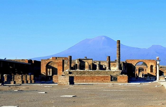 El ADN de las víctimas de la erupción de Pompeya revela información inesperada