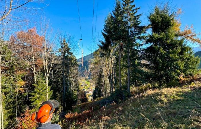 Listos para el invierno: Sólo tienen dos pistas de esquí, ¡pero las cuidan!