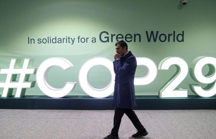 Una “traición”: una ONG atrapa al director general de la COP29 pregonando acuerdos sobre combustibles fósiles