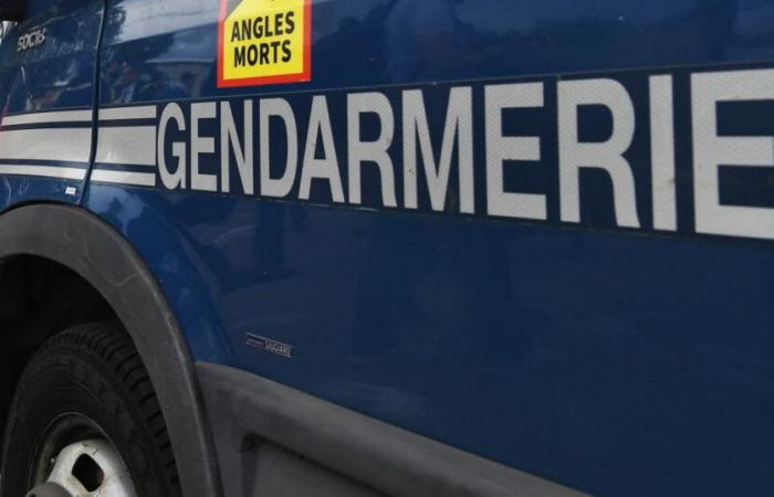 Loiret. Hallan muerto a un hombre con heridas de arma blanca y a su hijo herido