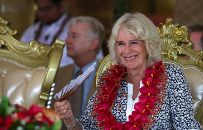 La princesa Kate asiste a las ceremonias del Día del Recuerdo, Camilla ausente