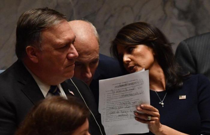 Estados Unidos: Donald Trump retira a Pompeo y Haley de su futuro gobierno