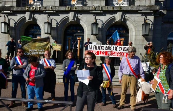 En los bosques de Creuse, los gránulos de la discordia