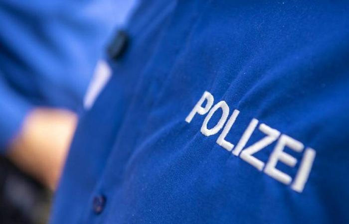 Actual: Una anciana asaltada por falsos artesanos en Greifensee