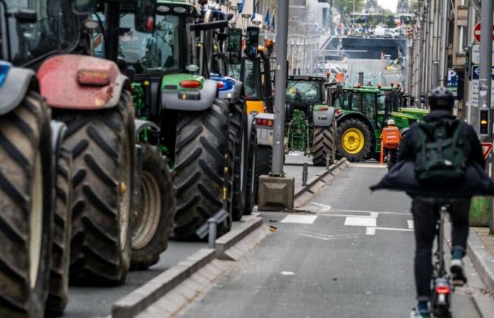 “La copa vuelve a estar llena”: los jóvenes agricultores actuaron en las carreteras valonas