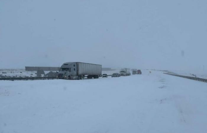 Alrededor de 100 vehículos quedaron varados en zonas rurales de Nuevo México en condiciones bajo cero durante una ‘poderosa’ tormenta de nieve