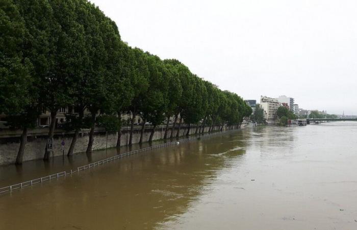 El Ayuntamiento de París sensibilizará a los vecinos sobre el riesgo de inundaciones en caso de crecida del Sena