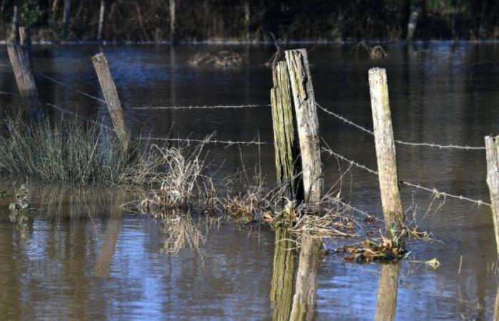 Clima: Alta Córcega bajo vigilancia naranja por lluvias e inundaciones: Noticias