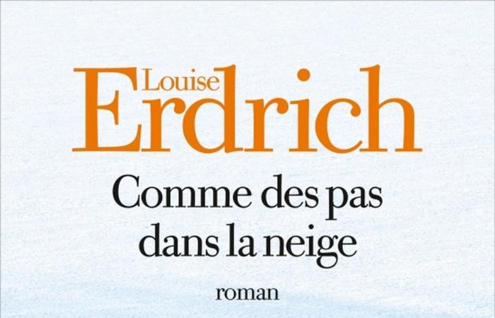 Louise Erdrich, la ciencia ficción de Catherine Dufour, los fantasmas de Visconti, los naufragios de Tangvald… La elección de los libros de “Sud Ouest”