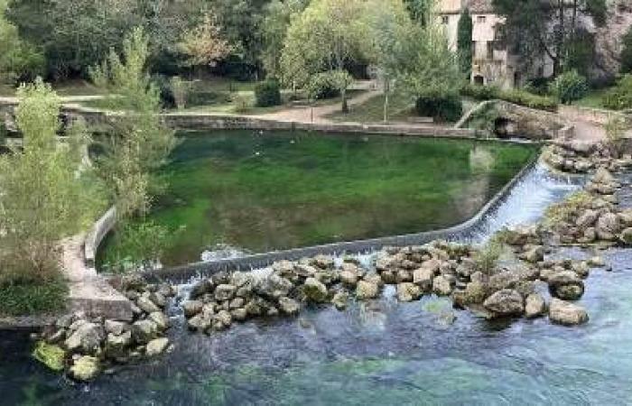 Los ecologistas de Provenza lanzan un “S.EAU.S”