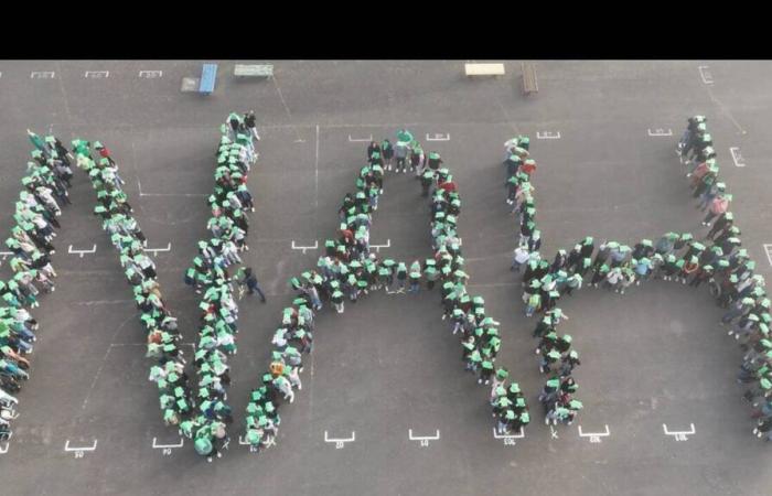 El colegio Jacques-Prévert, en Finistère, se implica contra el acoso escolar