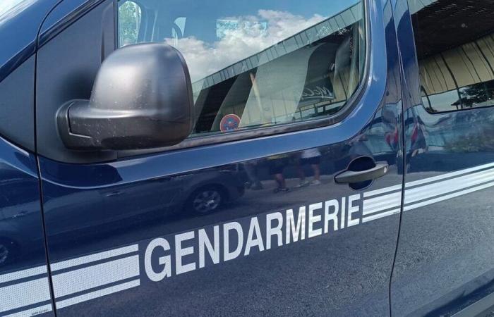 Landas: la gendarmería lanza una convocatoria de testigos tras la preocupante desaparición de un hombre de 59 años