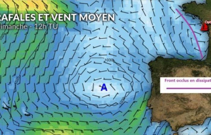 Vendée Globe: viento del este dominante pero muy débil en la línea de salida